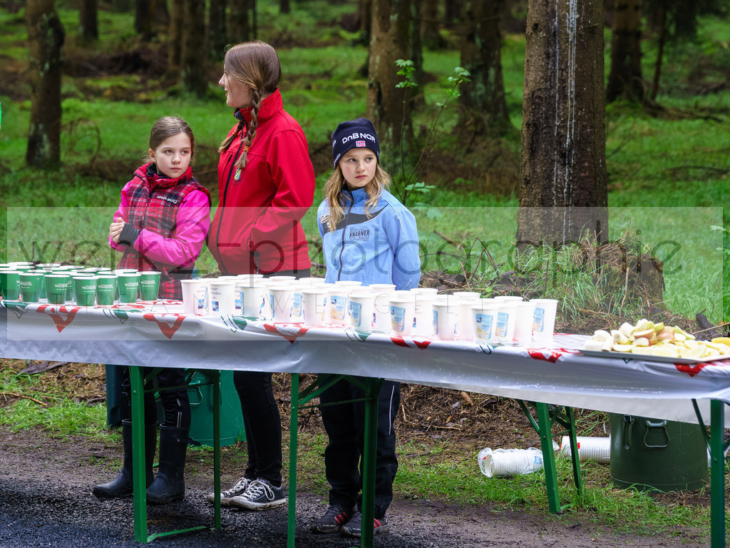 Rennsteiglauf 2017 | Neuhaus/Rwg. - Schmiedefeld am 19. Mai 2017