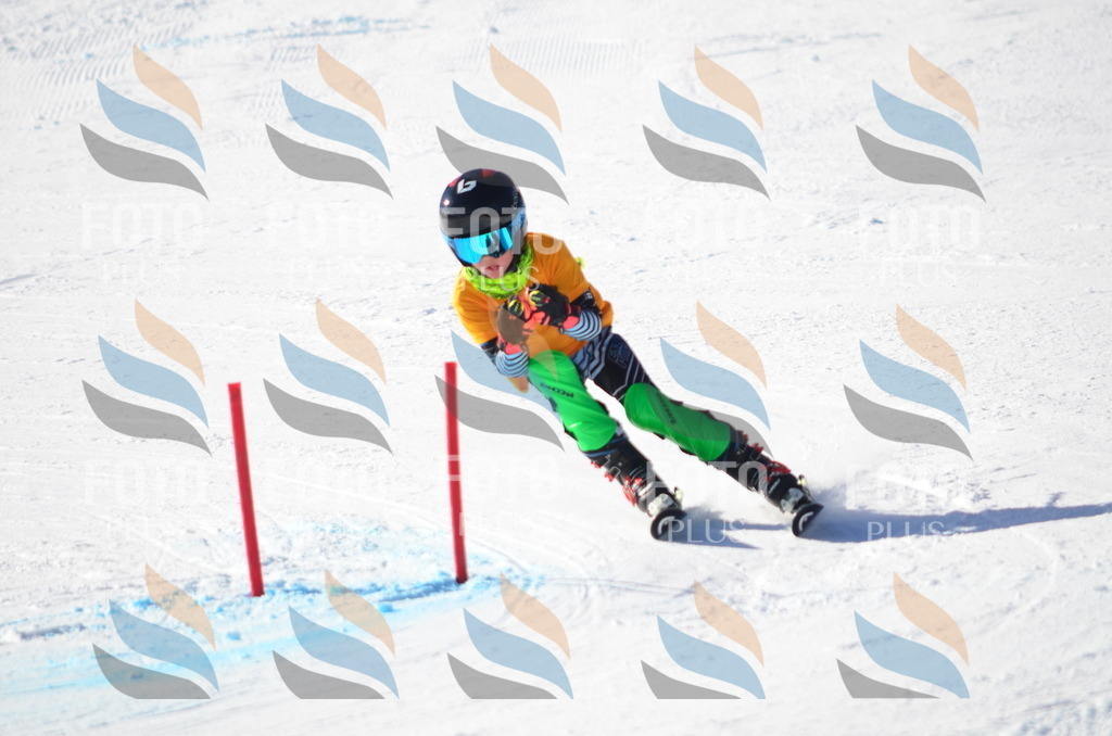 C6410 | holidayphoto