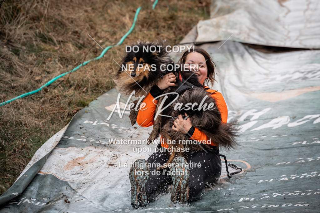 nelerasche_1330-1400_14 | nelerasche