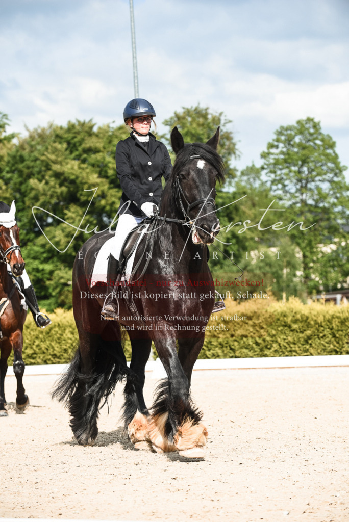 20230518_JK-Röhrsdorf-12-0438 | Pferde- und Turnierfotografie in Westsachsen. Pferdeportraits, Auftragszeichnungen und intuitive Kunst.