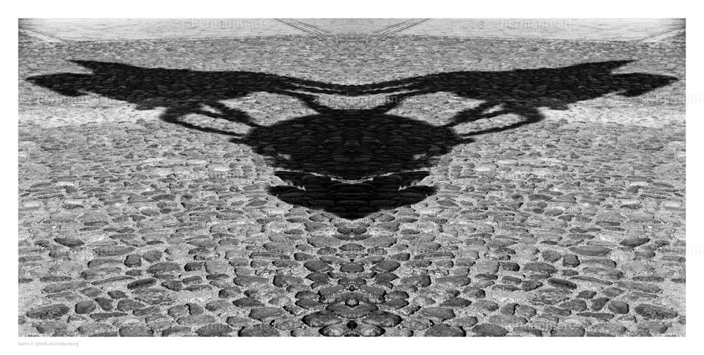 Hermann-Arts_Spiegelbilder_032 | Photo Foto Kunst Art schwarzweiss Bilder Rheine Münster Berlin Blumen 