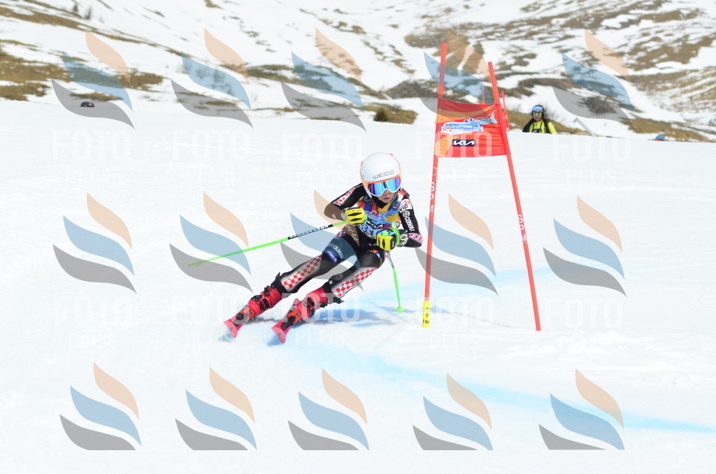 _ELE2321 | holidayphoto