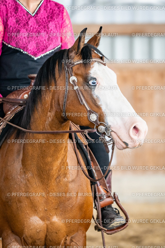 DSC08372 | Pferdegrafie