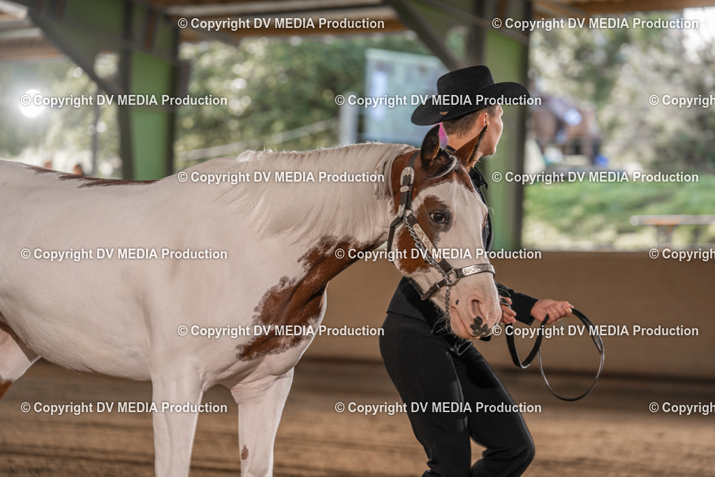 Balingen Tag 2-07 | dv-media-shop - Realisiert mit Pictrs.com