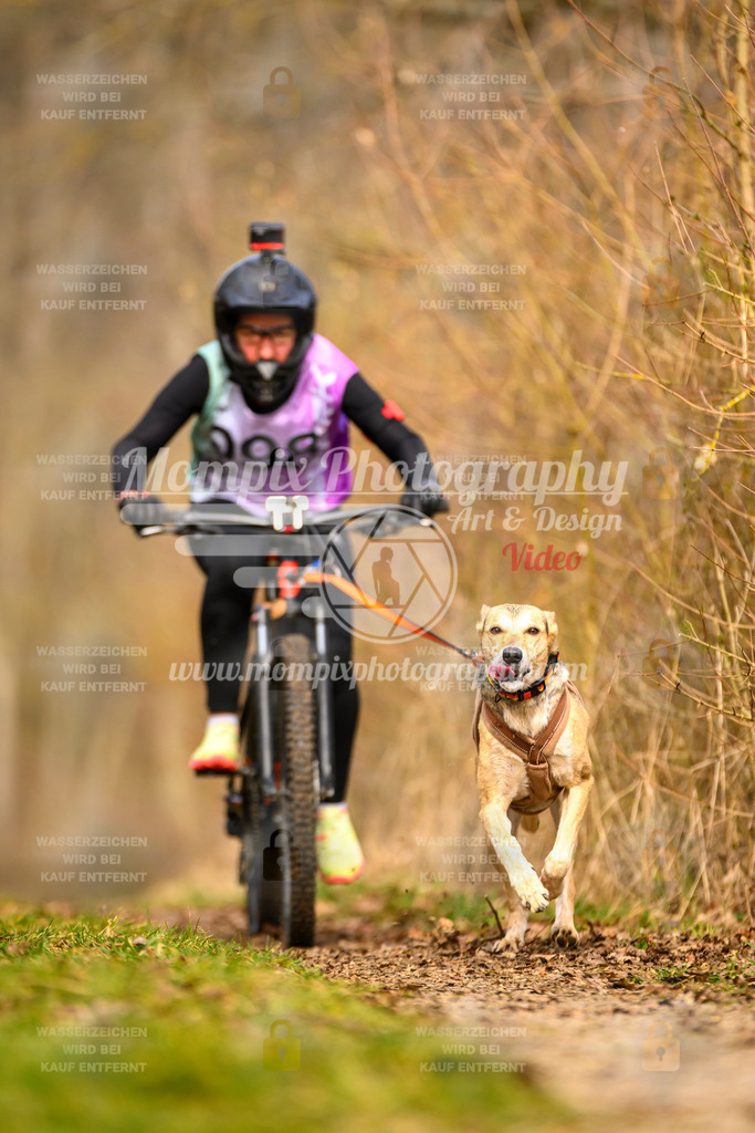 MompixPhotography_Schwabentrail2024_Bike-46 | PayLife