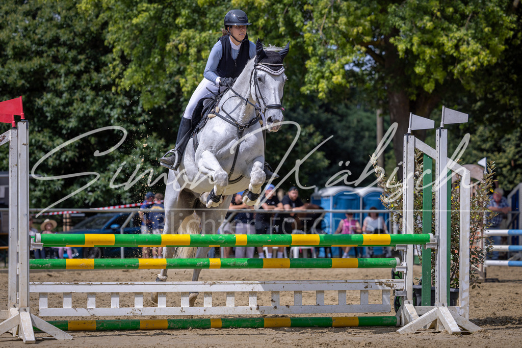 20260704-_3LI0477 | Tierfotografie Pferde, Hunde, Katzen, Haustiere.
Turnierfotografie Reitturniere, Reiten, Springreiten, Dressur in Hanau, dem Main-Kinzig-Kreis und dem Rhein-Main- Gebiet um Frankfurt
