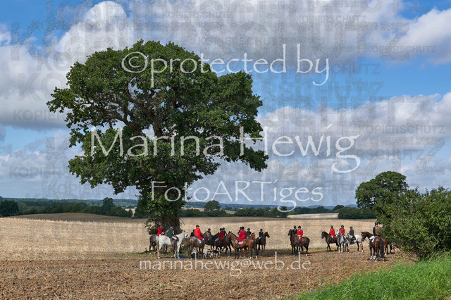 DSC01395_Marina Hewig | Fotografie, FotoArt, PferdesportArt, Pferdesportfotografie, Landschaftsfotografie, Reisefotografie, Reise, Pferde - Realisiert mit Pictrs.com