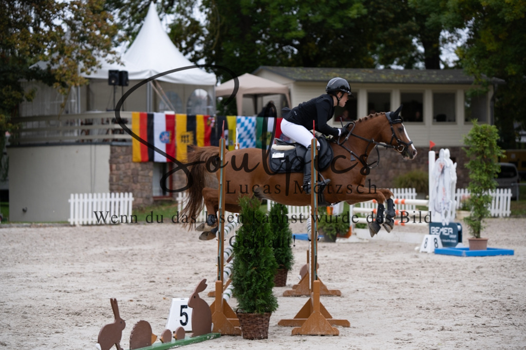 A7V08097 | Pferdefotograf