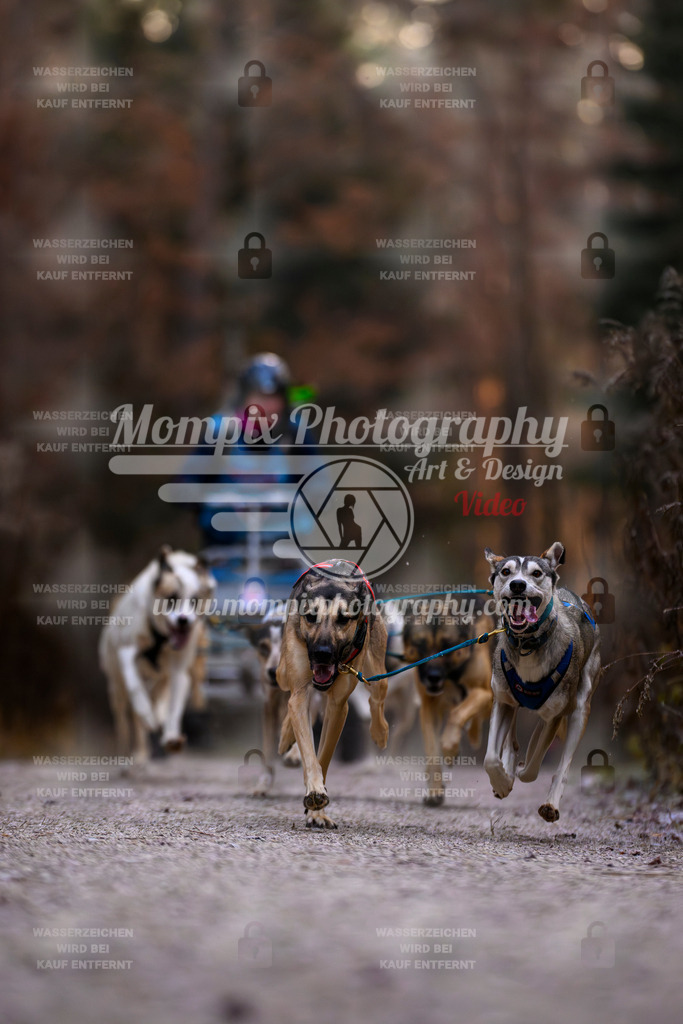 MompixPhotography_DM_AKDM_SO_2025_Wagen-2 | PayLife