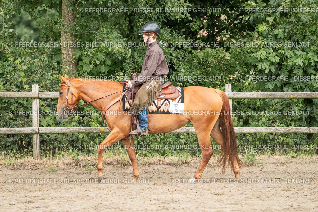 DSC03775 | Pferdegrafie