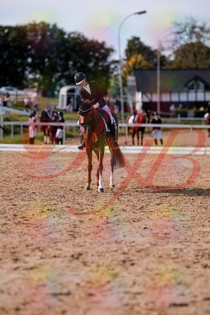 2026_10_03_Siefer-Hof_133315_Z81_91501291 | Professionelle Reitsport-, Turnier- und Eventfotografie von Robert Broda. Galerien mit ausgewählten und bearbeiteten Bildern direkt online ansehen und bestellen.