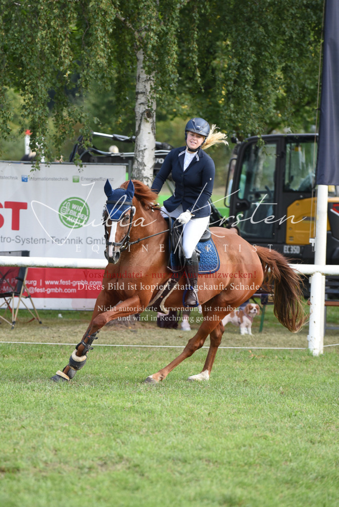 DSC_8841 | Pferde- und Turnierfotografie in Westsachsen. Pferdeportraits, Auftragszeichnungen und intuitive Kunst.