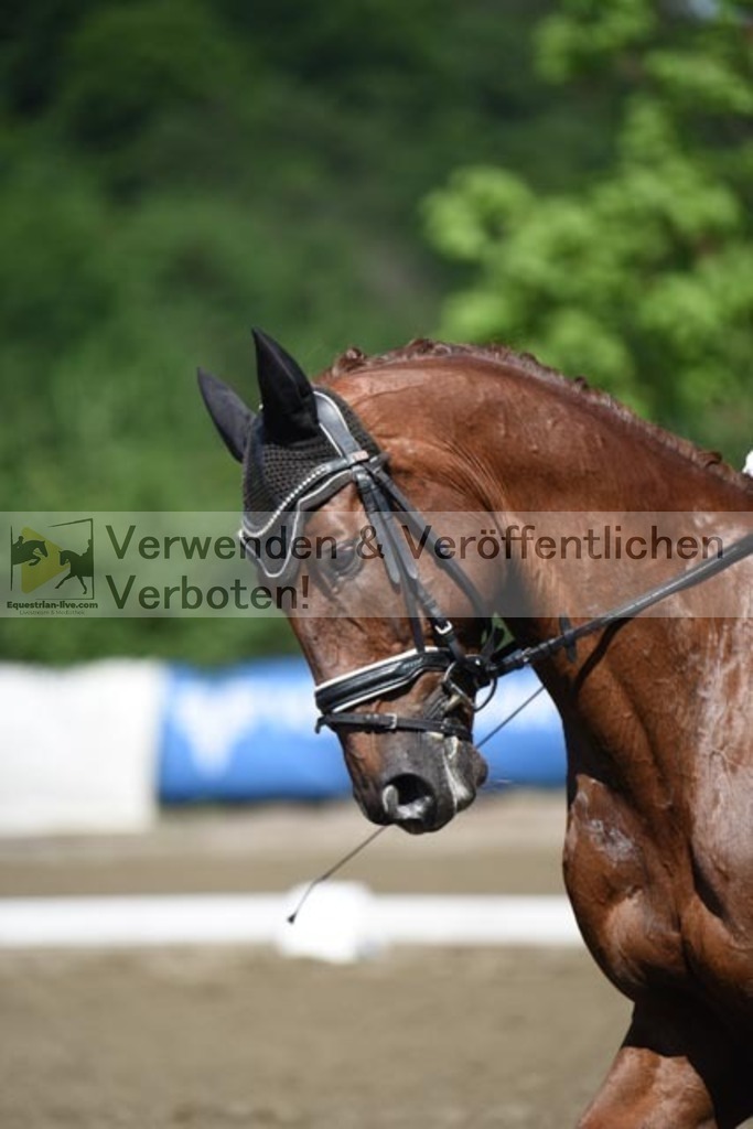 DSC_9843 | equestrian-live-com