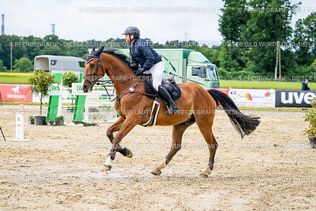 DSC04003 | Pferdegrafie