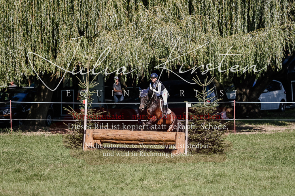 DSC_2793 | Pferde- und Turnierfotografie in Westsachsen. Pferdeportraits, Auftragszeichnungen und intuitive Kunst.