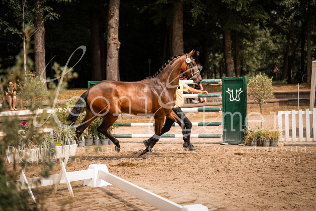 6.Fr00065 | Leoni Ertmer Photography - Realisiert mit Pictrs.com