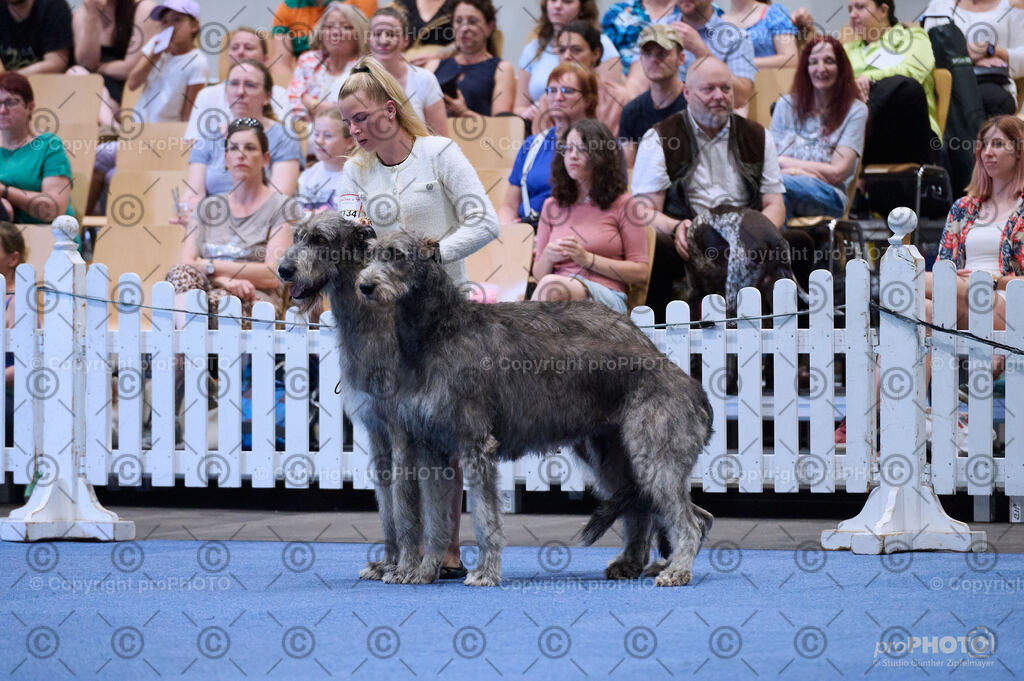 202406_ÖKV-IHA-Tulln24_DSC_3696 | proPHOTO - Realisiert mit Pictrs.com