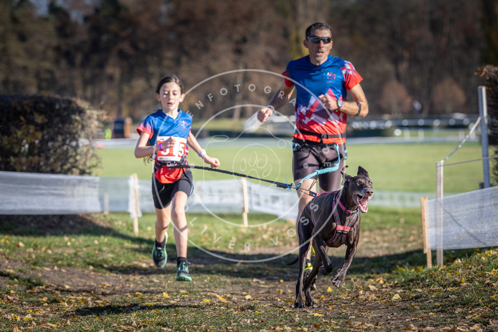 CaniXpix_DV3A8019 | Hundefotografie, Tierfotograf, Pfotenfotografie, Fotoshooting Hund, Hunde Portrait, Hundesport, Hundeportraits, Heideshooting, Hunde, Sportfotograf, Hundefotograf, Turnierhundsport, THS,  - Realisiert mit Pictrs.com