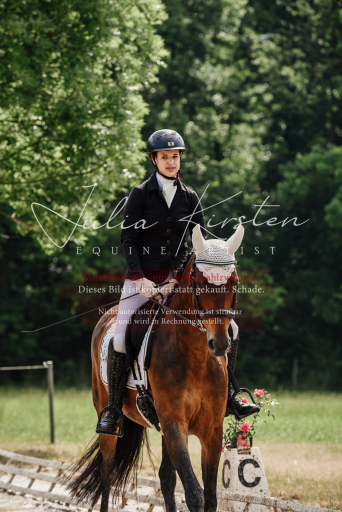 DSC_9824 | Pferde- und Turnierfotografie in Westsachsen. Pferdeportraits, Auftragszeichnungen und intuitive Kunst.