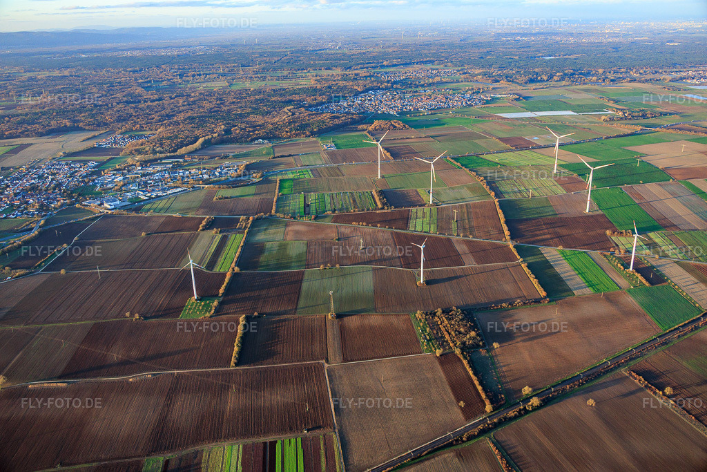 Luftbild: Windpark in Schwegenheim im Bundesland Rheinland-Pfalz in Deutschland. Foto: IMG_151399.jpg vom 18.11.2025 durch Werner Riehm/FLY-FOTO.de