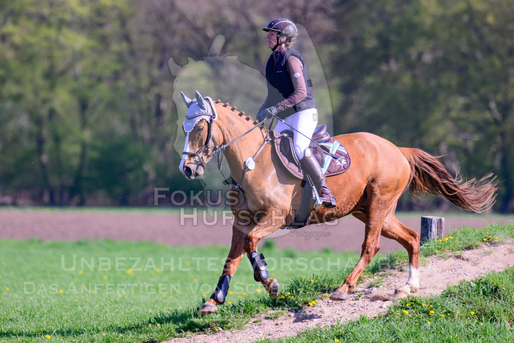 18042026-Gernlinden-03-0343 | Fokus Hufschlag Fotografie - Realisiert mit Pictrs.com