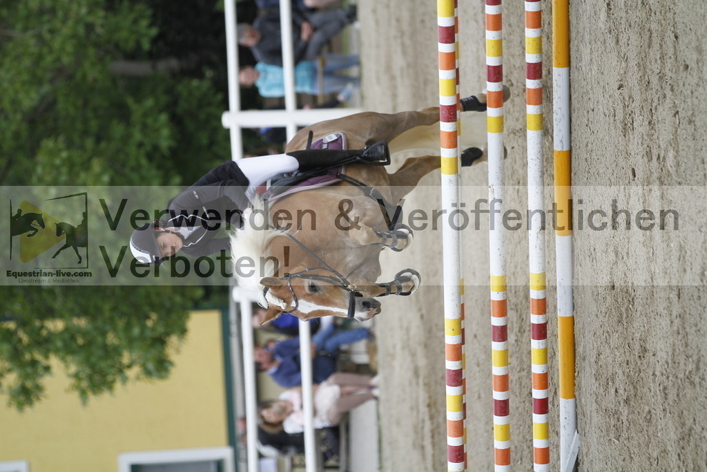 _MG_1109 | equestrian-live-com
