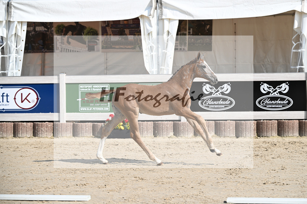 Agalord x C-Indoctro_SF_Diez_12250144 | hf-fotografie - Realisiert mit Pictrs.com