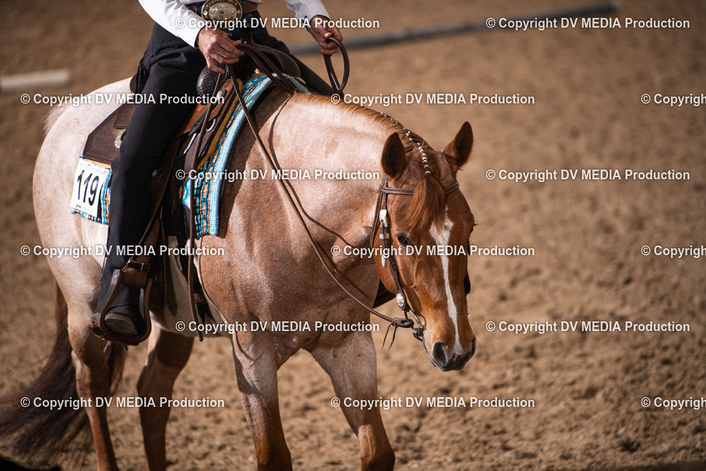 Heiligenwald Tag 1-2946 | dv-media-shop - Realisiert mit Pictrs.com