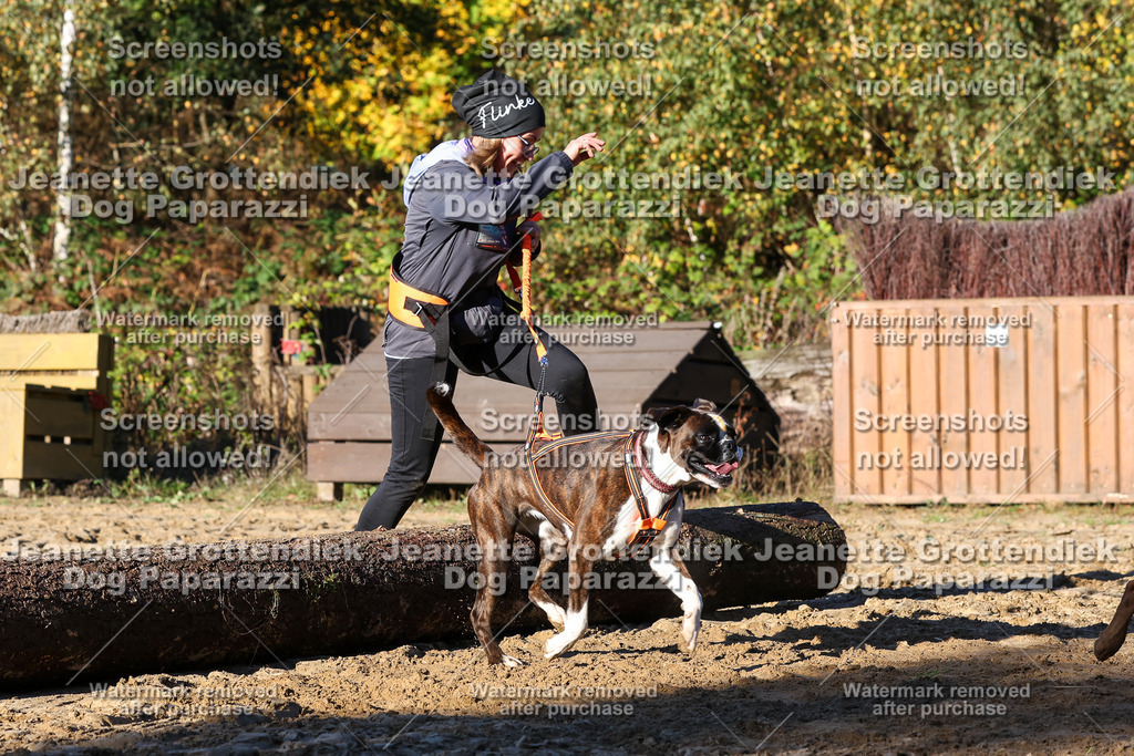 Dog Paparazzi - Strongdog 10-25-1389 | Dog Paparazzi Jeanette Grottendiek Fotografie & Videografie - Realisiert mit Pictrs.com