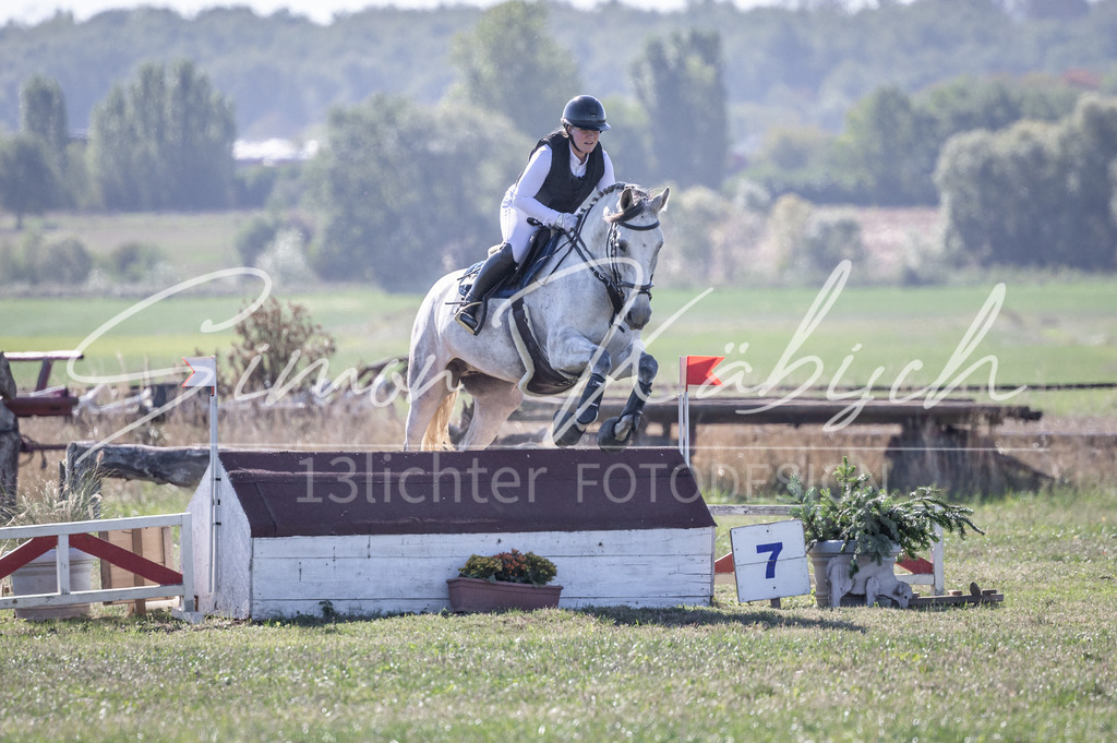 20260906-_3LI2469 | Tierfotografie Pferde, Hunde, Katzen, Haustiere.
Turnierfotografie Reitturniere, Reiten, Springreiten, Dressur in Hanau, dem Main-Kinzig-Kreis und dem Rhein-Main- Gebiet um Frankfurt