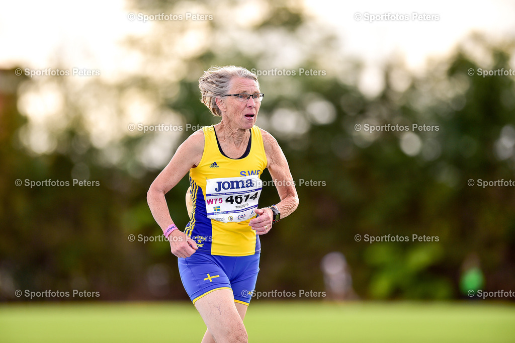 Masters EM 2023 - Montesilvano Tag 3_148 | Masters Europameisterschaft am 23.09.2023 in Montesilvano (Italien)

Foto: Kai Peters - Realisiert mit Pictrs.com