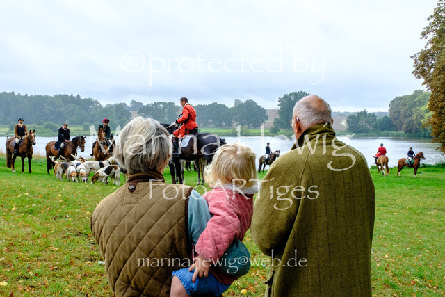 Jagd Kletkamp 26-9514_MarinaHewig | Fotografie, FotoArt, PferdesportArt, Pferdesportfotografie, Landschaftsfotografie, Reisefotografie, Reise, Pferde - Realisiert mit Pictrs.com