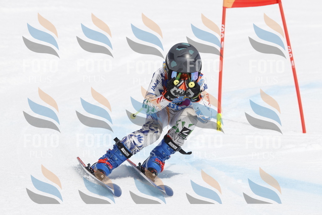 _U3G2669 | holidayphoto