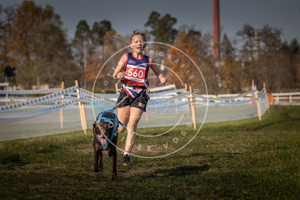 CaniXpix_0L8A9271 | Hundefotografie, Tierfotograf, Pfotenfotografie, Fotoshooting Hund, Hunde Portrait, Hundesport, Hundeportraits, Heideshooting, Hunde, Sportfotograf, Hundefotograf, Turnierhundsport, THS,  - Realisiert mit Pictrs.com