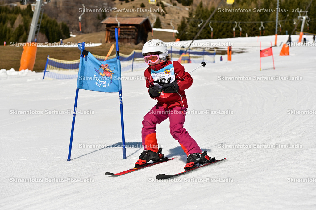 SRF_13.03.2026_210 | SRF_13.03.2026_210 - Realisiert mit Pictrs.com