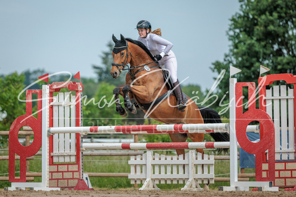 20260530-_3LI2508 | Tierfotografie Pferde, Hunde, Katzen, Haustiere.
Turnierfotografie Reitturniere, Reiten, Springreiten, Dressur in Hanau, dem Main-Kinzig-Kreis und dem Rhein-Main- Gebiet um Frankfurt