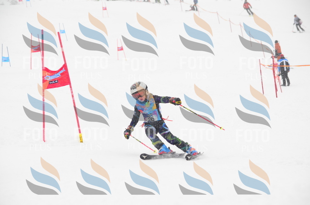 C0725 | holidayphoto