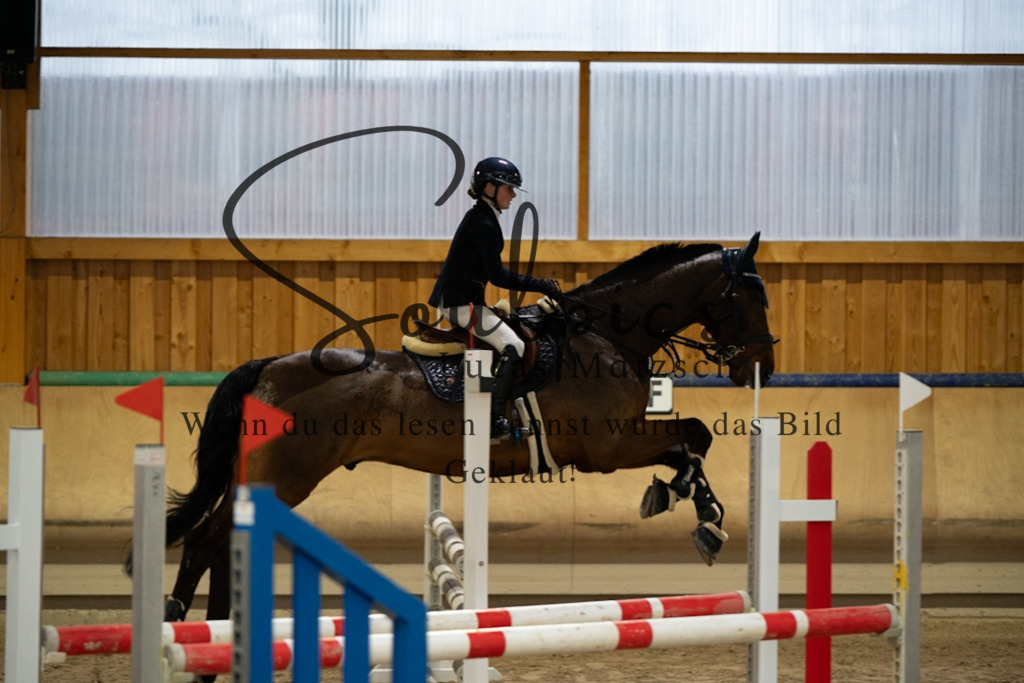 A7V00818 | Pferdefotograf