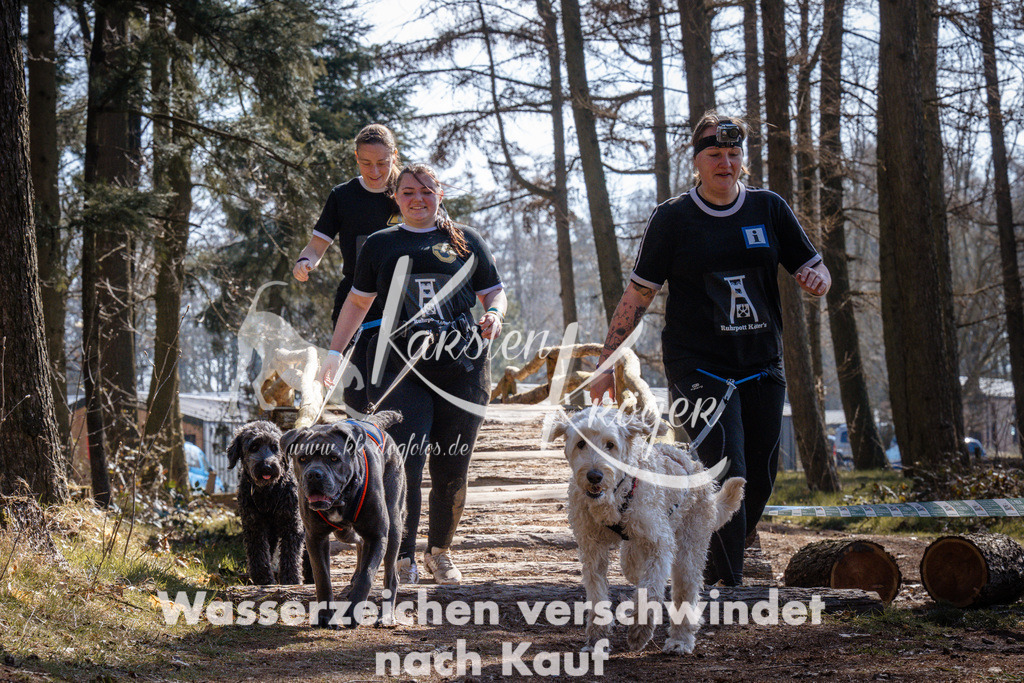 1311_ZZ94532 | kk-dogfotos