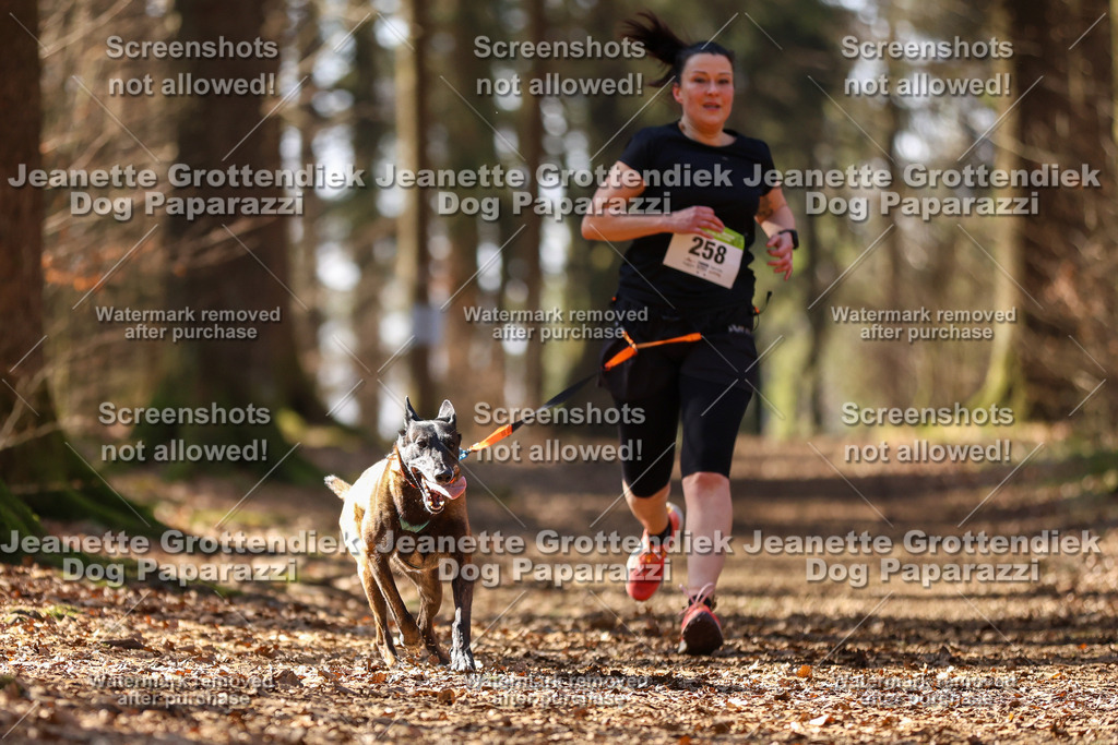 Dog Paparazzi - VCC26-1203 | Dog Paparazzi Jeanette Grottendiek Fotografie & Videografie - Realisiert mit Pictrs.com