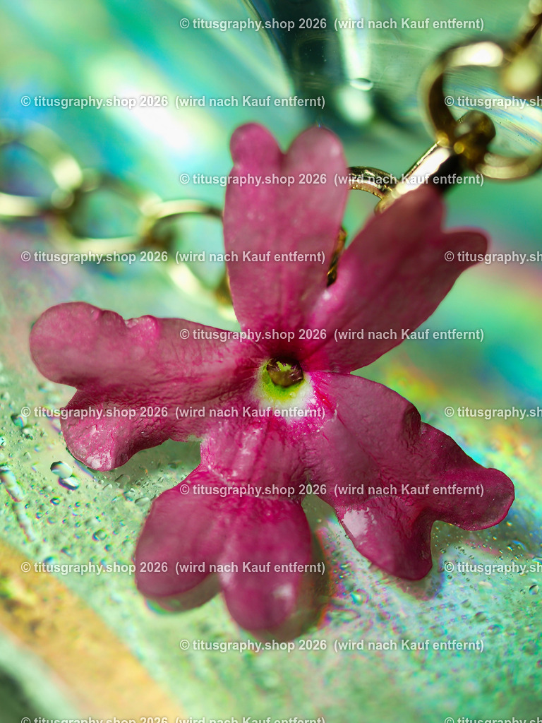 titusgraphy_P8030057-vz-ln | titusgraphy-shop: Geschenkideen mit Qualitätsfotos. titusgraphy-shop: gift ideas with quality photos. titusgraphy-shop: idées cadeaux avec photos de qualité.  - Realisiert mit Pictrs.com