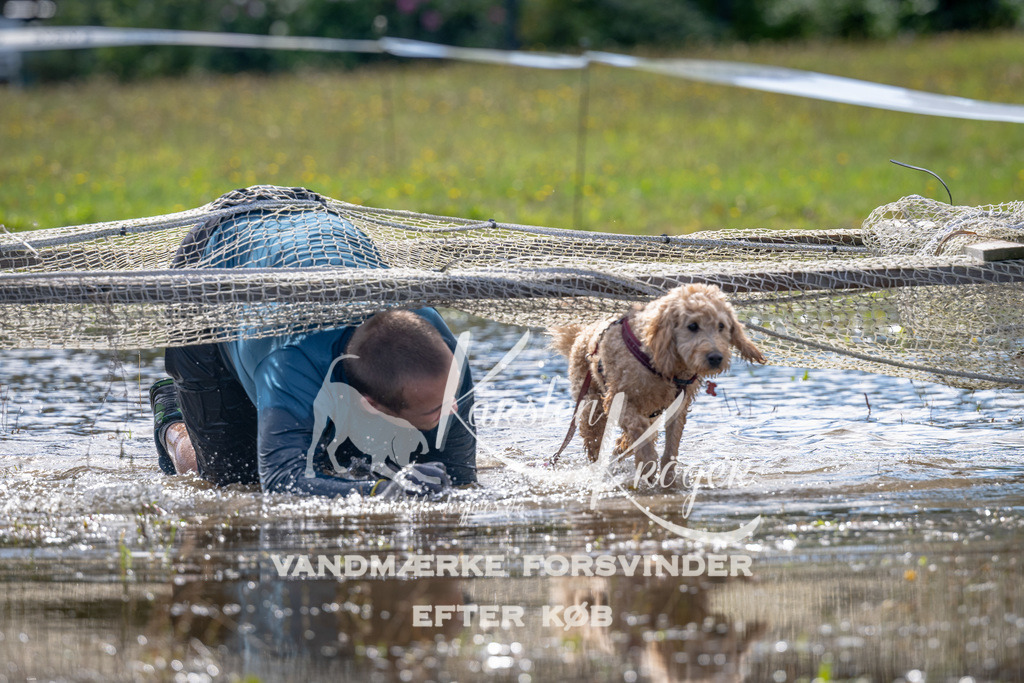 1235_ZZ90955 | kk-dogfotos