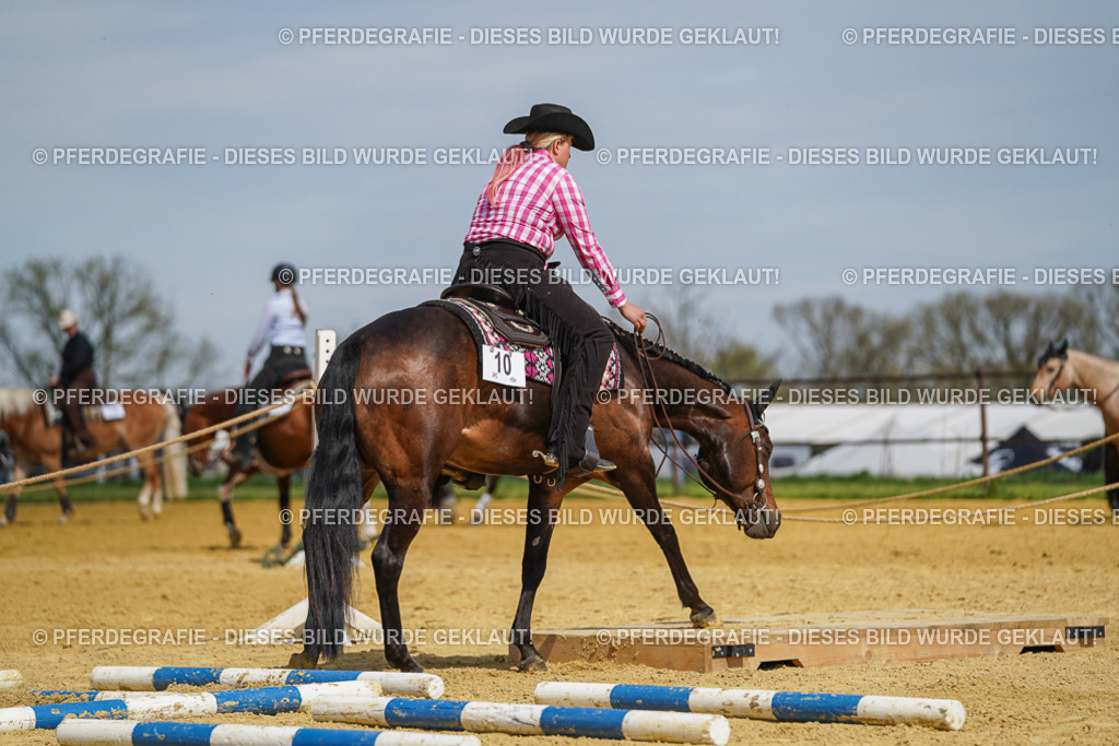 DSC05165 | Pferdegrafie