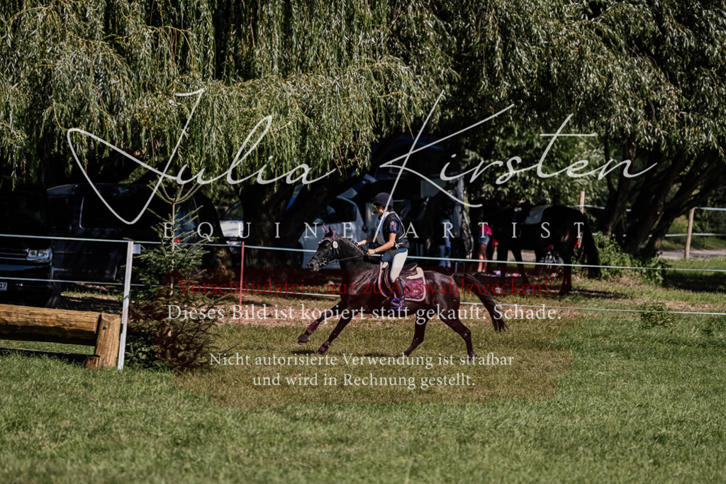 DSC_1922 | Pferde- und Turnierfotografie in Westsachsen. Pferdeportraits, Auftragszeichnungen und intuitive Kunst.