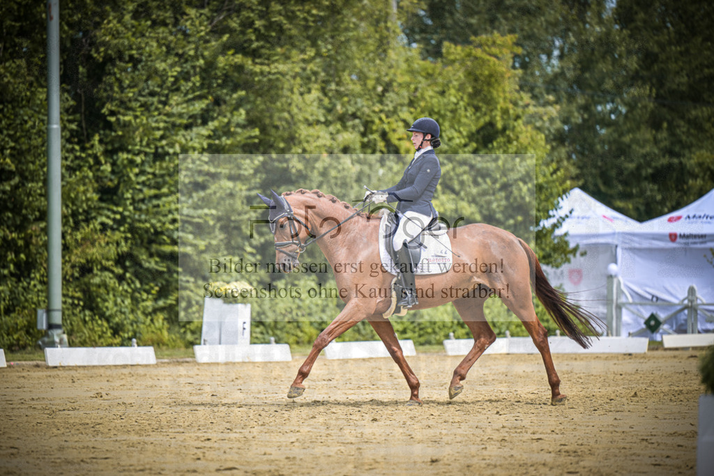 DOS_2496 | Entdecke hochwertige Reitturnierfotos von Foto Oger. Professionell, emotional und authentisch – jetzt Lieblingsmomente im Shop bestellen.Deutschlandweite Turnierfotografie. - Realisiert mit Pictrs.com