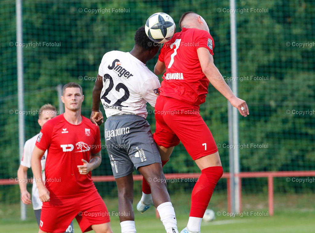 A_LUI_16082025_30 | SPORT,FUSSBALL,LT1 OOE LIGA ASKOE OEDT 1B-SPG ALGENMAX PREGARTEN 16.08.2025 IM BILD:DENIS BROZIK,NENAD VIDACKOVIC (BEIDE AARON MAKANA OEDT 1B) UND (PREGARTEN) FOTO :FOTOLUI