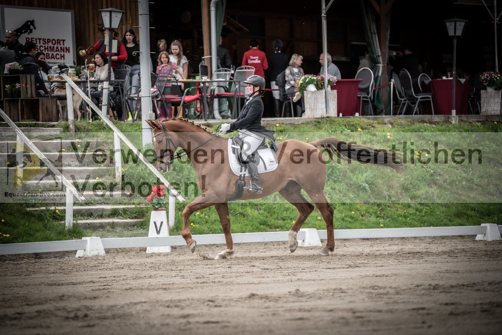 DSC_2510 | equestrian-live-com
