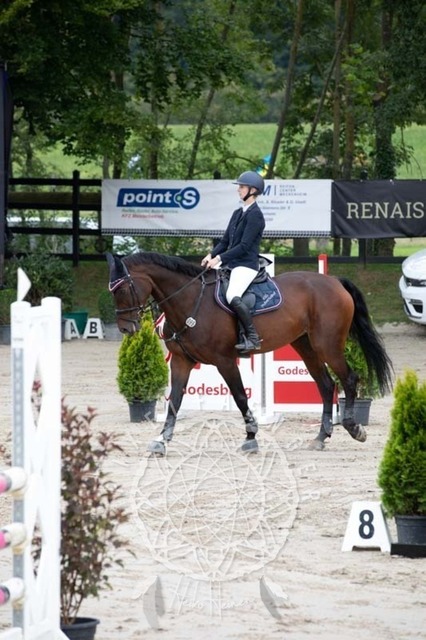 2B4A1580 | pixelfaenger - Realisiert mit Pictrs.com