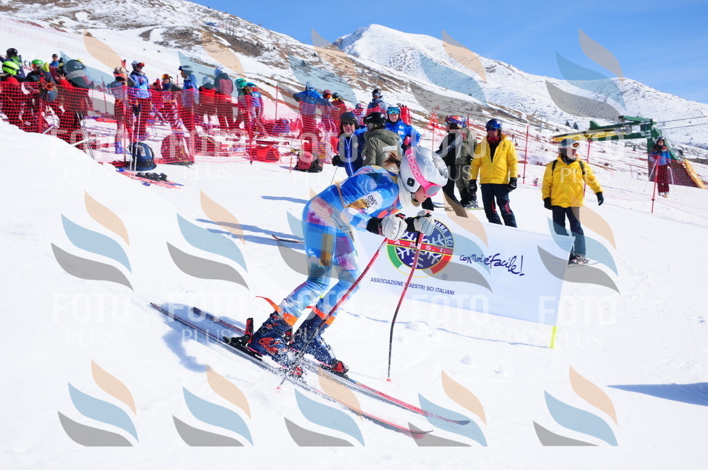 DSC_4282 | holidayphoto