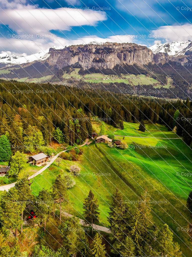Flims | default